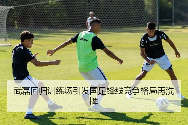 武磊回归训练场引发国足锋线竞争格局再洗牌 - MKSports