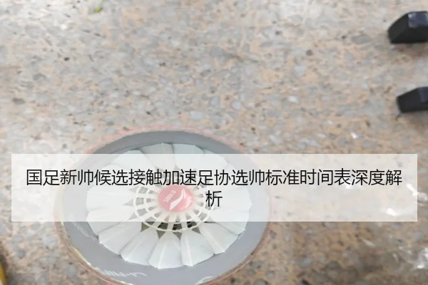 国足新帅候选接触加速足协选帅标准时间表深度解析 - MKSports